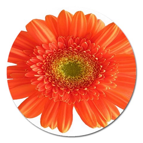 from ArtsNow.com Front