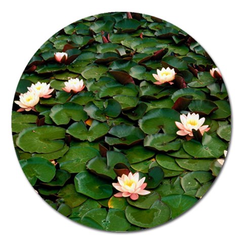 from ArtsNow.com Front