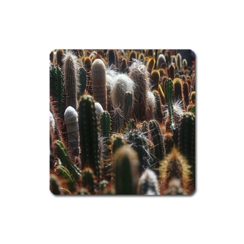 from ArtsNow.com Front