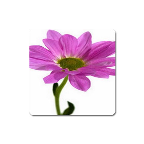 from ArtsNow.com Front