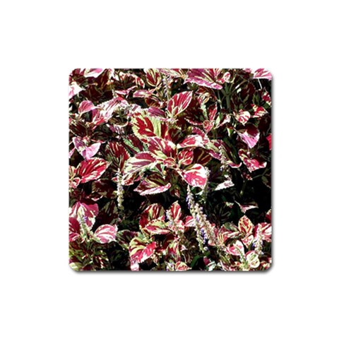 from ArtsNow.com Front