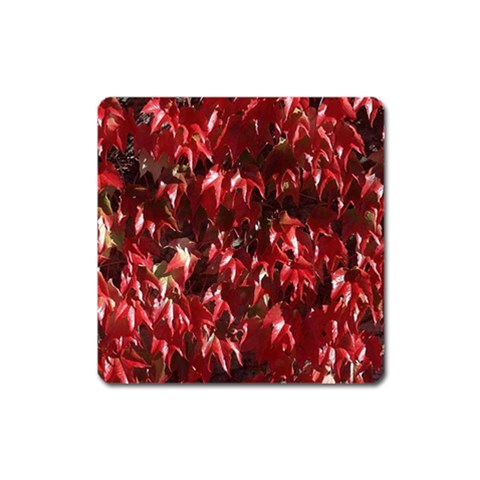 from ArtsNow.com Front