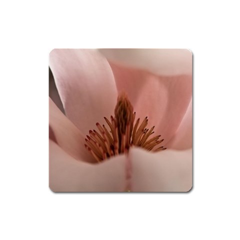 from ArtsNow.com Front