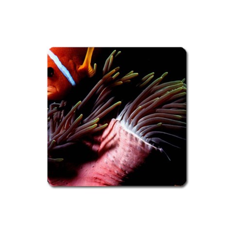 from ArtsNow.com Front