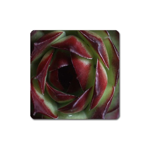 from ArtsNow.com Front