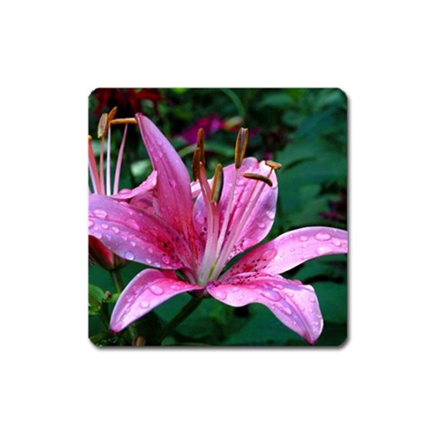 from ArtsNow.com Front