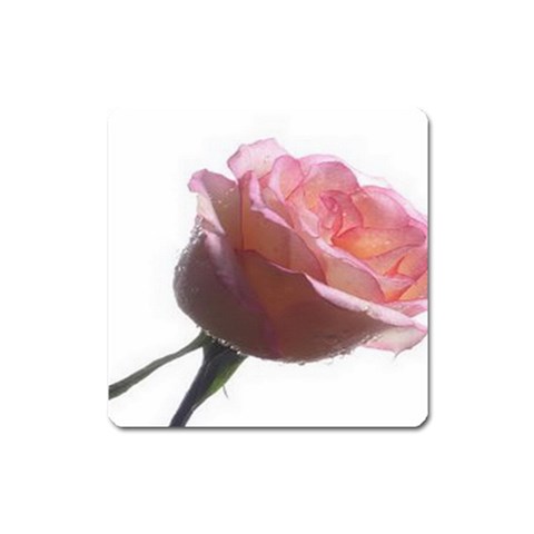 from ArtsNow.com Front