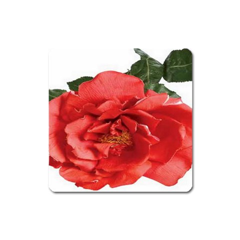 from ArtsNow.com Front