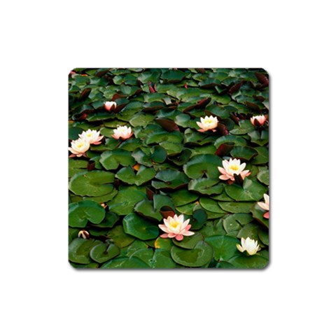 from ArtsNow.com Front