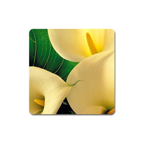 from ArtsNow.com Front