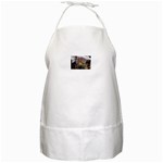 photo 1 BBQ Apron