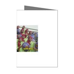 SDC10170 Mini Greeting Cards (Pkg of 8)