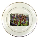 SDC10170 Porcelain Plate