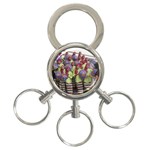 SDC10169 3-Ring Key Chain