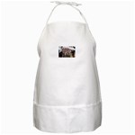 SDC10169 BBQ Apron