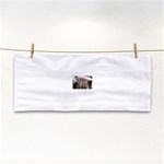 SDC10169 Hand Towel