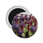 SDC10168 2.25  Magnet