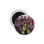 SDC10168 1.75  Magnet