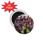 SDC10168 1.75  Magnet (10 pack) 
