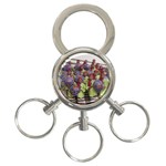SDC10168 3-Ring Key Chain
