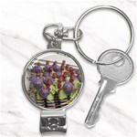 SDC10168 Nail Clippers Key Chain