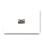 SDC10168 Small Doormat