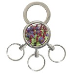 SDC10167 3-Ring Key Chain