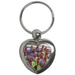 SDC10167 Key Chain (Heart)