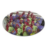 SDC10167 Magnet (Oval)