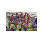 SDC10167 Sticker Rectangular (10 pack)