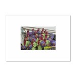 SDC10167 Sticker A4 (100 pack)