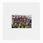 SDC10167 Glasses Cloth (Medium)