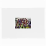 SDC10167 Glasses Cloth (Large, Two Sides)
