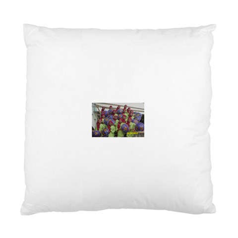 SDC10167 Cushion Case (One Side) from ArtsNow.com Front