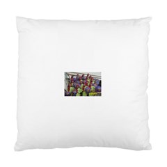 SDC10167 Cushion Case (Two Sides) from ArtsNow.com Front