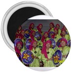 SDC10129 3  Magnet