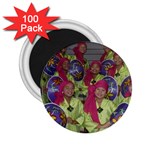 SDC10129 2.25  Magnet (100 pack) 