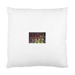 SDC10129 Cushion Case (One Side)