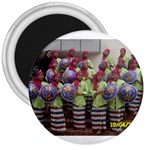 SDC10162 3  Magnet
