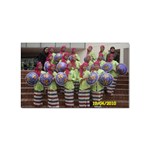 SDC10162 Sticker Rectangular (10 pack)