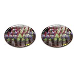 SDC10162 Cufflinks (Oval)