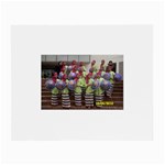 SDC10162 Glasses Cloth (Small, Two Sides)