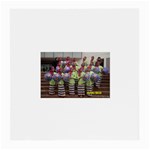 SDC10162 Glasses Cloth (Medium)