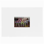 SDC10162 Glasses Cloth (Large)