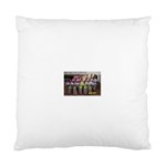 SDC10162 Cushion Case (One Side)