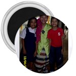 SDC10132 3  Magnet