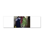 SDC10131 Sticker Bumper (100 pack)