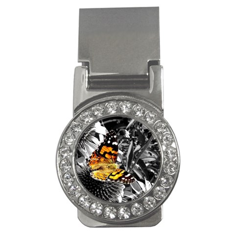 362954323_94fafe3a92 Money Clip (CZ) from ArtsNow.com Front