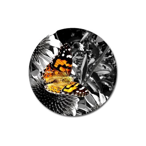 362954323_94fafe3a92 Magnet 3  (Round) from ArtsNow.com Front