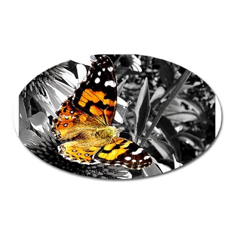362954323_94fafe3a92 Magnet (Oval) from ArtsNow.com Front